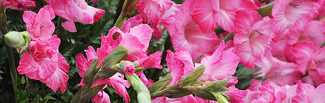 wedding flowers villa sao paulo