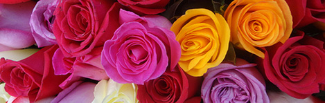 wedding flowers villa sao paulo